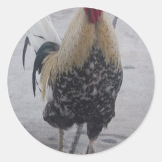 Rooster Doodle Doo Classic Round Sticker