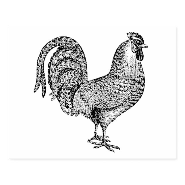 Rooster Drawing Lithograph #1 Rubber Stamp (Imprint)