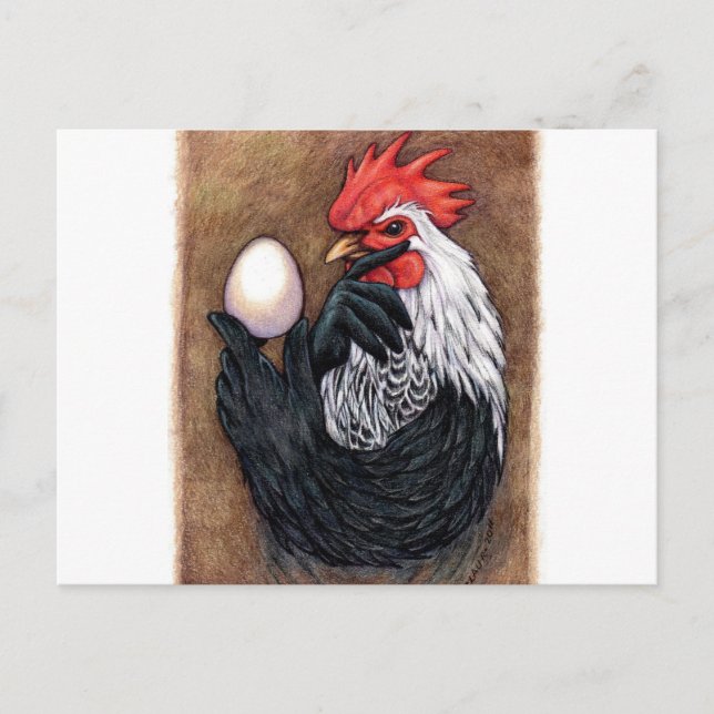 Rooster Egg Drawing Chicken Philosopher Postcard (Front)