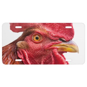 Rooster Face License Plate by PixLifeBirds at Zazzle