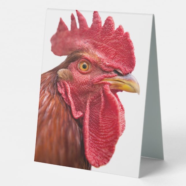 Rooster Face Table Tent (Back)