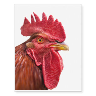 Rooster Face Temporary Tattoos