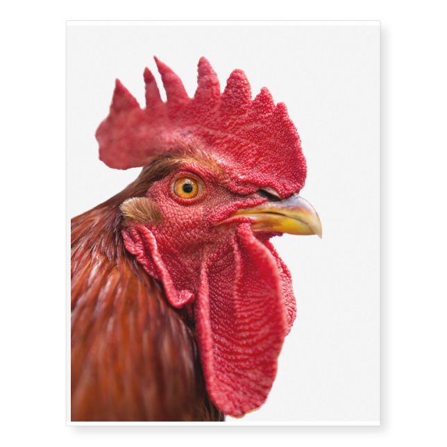Rooster Face Temporary Tattoos (Front)