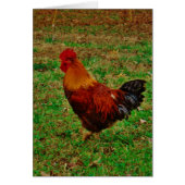 Rooster Facing Left Cards (Front)