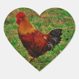 Rooster Facing Left Heart Sticker