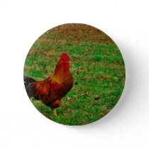 Rooster Facing right Pinback Button