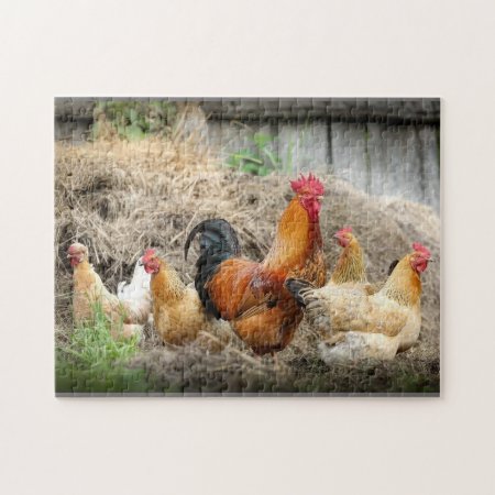 Rooster Family Jigsaw Puzzle