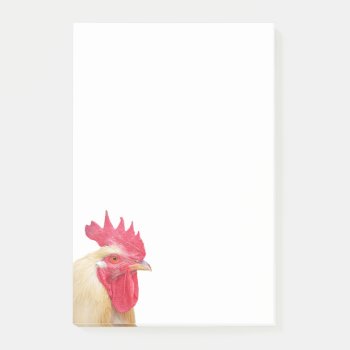 Rooster Farm Animal Portrait Photo Notes by stdjura at Zazzle