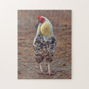 Rooster Farm Free Range Chicken Art Puzzle