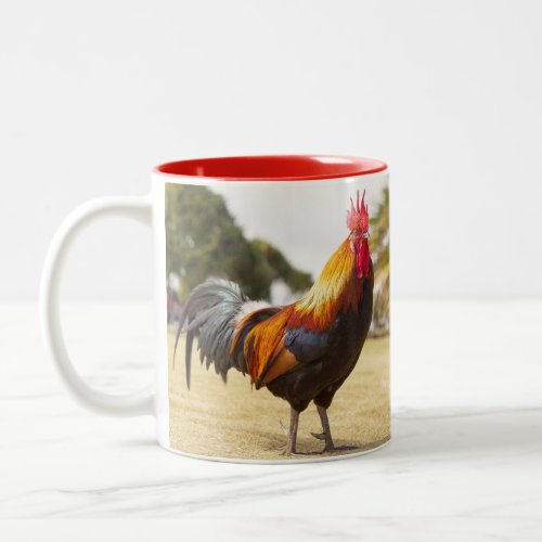 Rooster Farm Life Chickens Two_Tone Coffee Mug