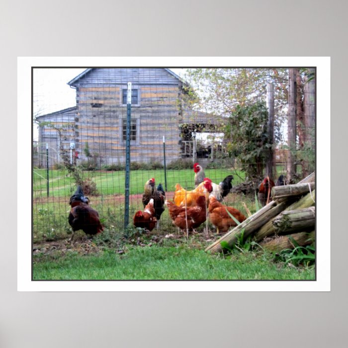 Rooster Farm Print