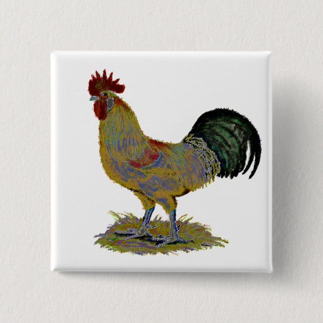 Rooster:  Freestyle Pinback Button (Front)