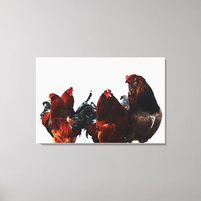 Rooster Gang Chicken Photographic Art Canvas Print (Front)