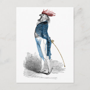 Rooster Gentleman Postcard