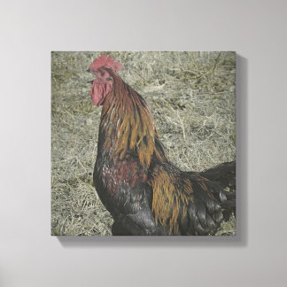 Rooster Grunge Canvas Print