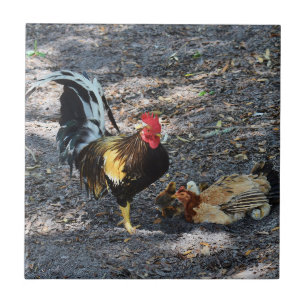 Rooster, Hen and Chicks Ceramic Tile