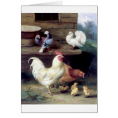 Rooster Hen Chicken Doves (Front)