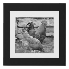 Rooster Hen Chickens Farm Black White Gallery Wall Faux Canvas Print