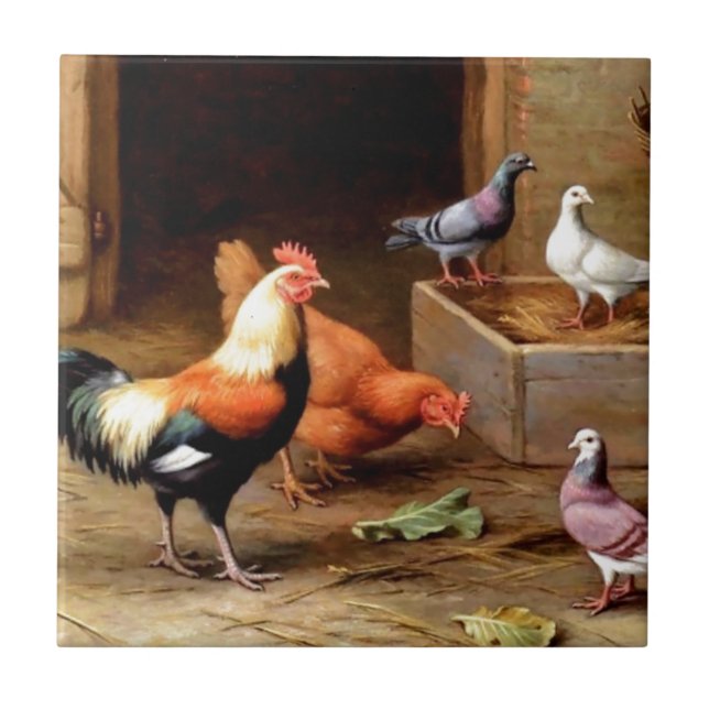 Rooster hen pigeons ceramic tile (Front)