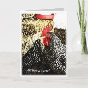 Rooster + Hen Tail, Funny Greeting Card