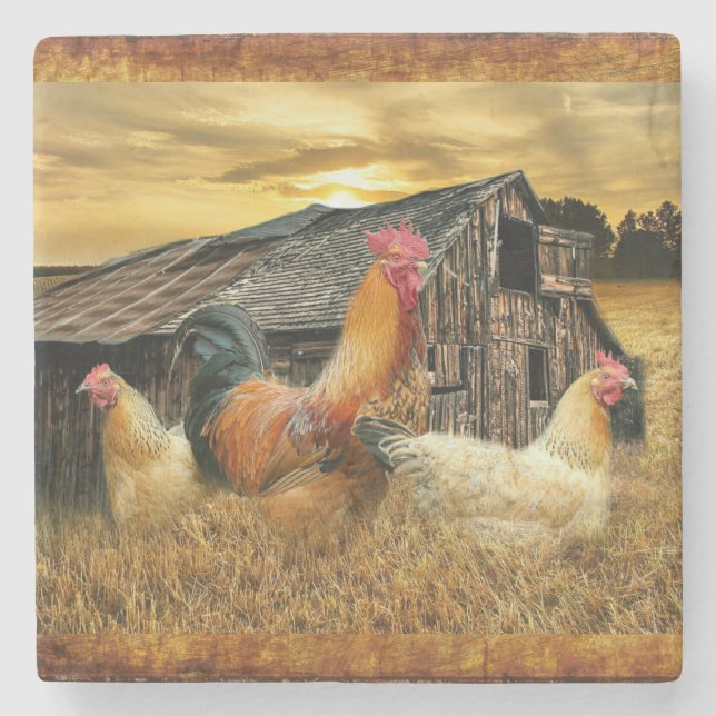 Rooster Hens Rustic Barn Coop Stone Coaster (Front)