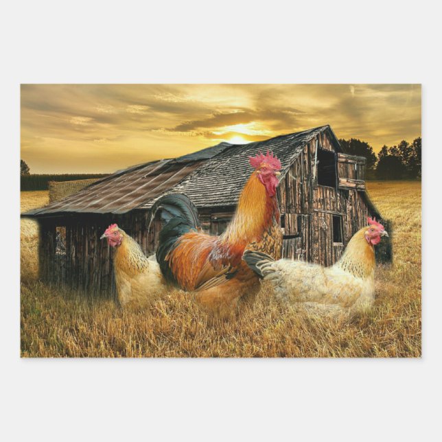 Rooster Hens Rustic Barn Coop Wrapping Paper Sheets (Front)