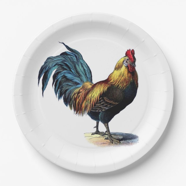 Rooster Illustration #1 Paper Plates (Front)