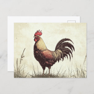Rooster Illustration Vintage Tone Postcard