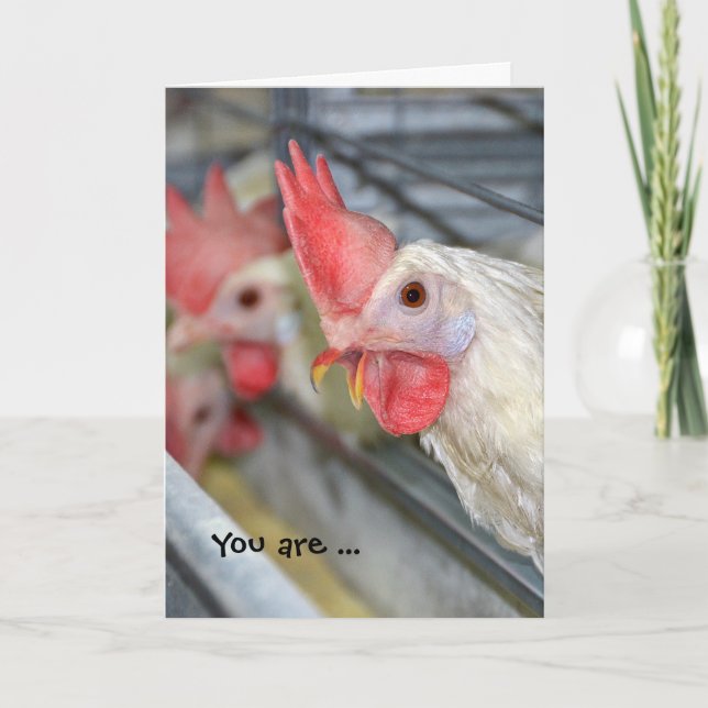 rooster in cage birthday humor card (Front)