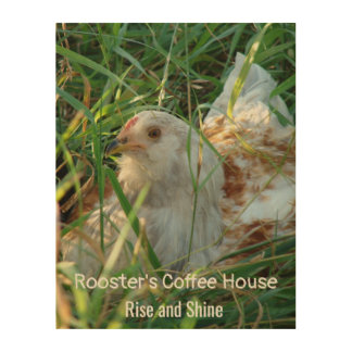 Rooster in Hay Meadow Coffee Shop Kitchen Decor