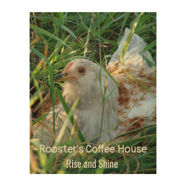 Rooster in Hay Meadow Coffee Shop Kitchen Decor (Front)