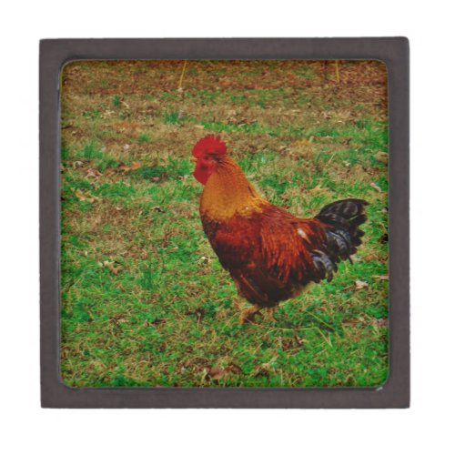 Rooster in the Yard Gift Box