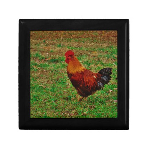 Rooster in the Yard Gift Box