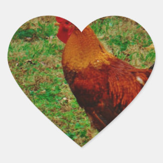 Rooster in the Yard Heart Sticker