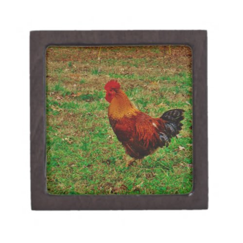 Rooster in the Yard Jewelry Box