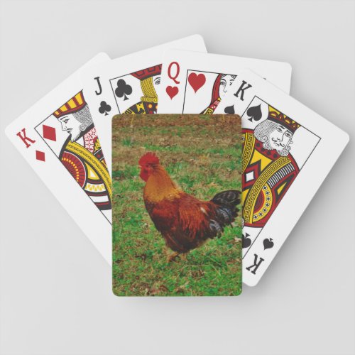 Rooster in the Yard Poker Cards