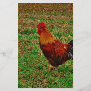 Rooster in the Yard Stationery
