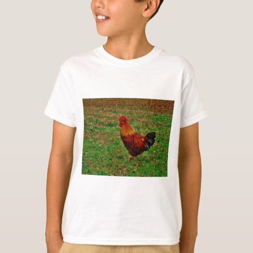 Rooster in the Yard T_Shirt