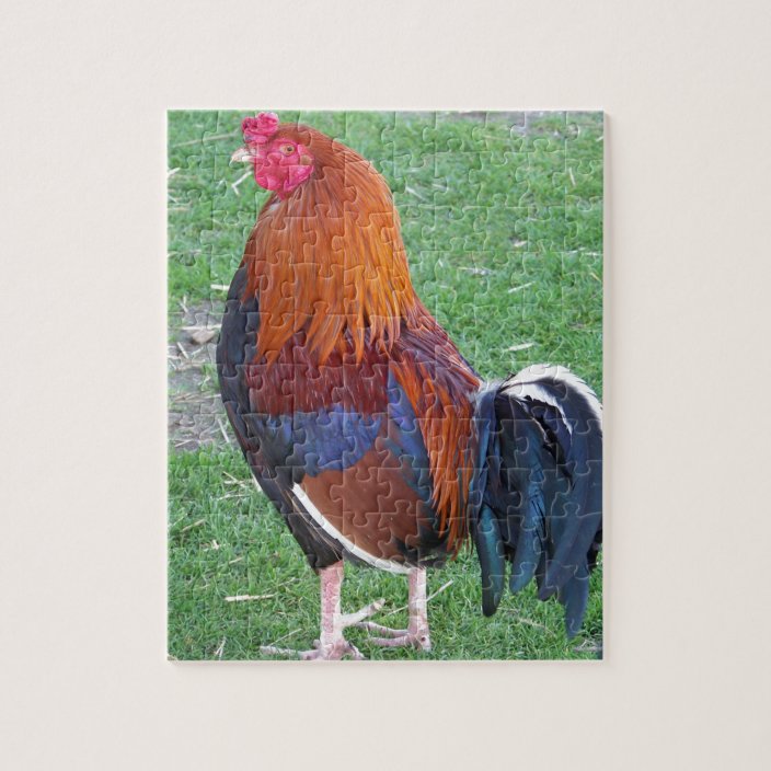 Rooster Jigsaw Puzzle | Zazzle.com