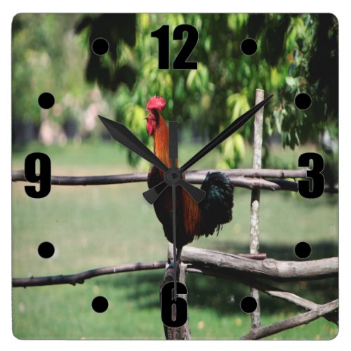 Rooster Morning Square Wall Clock