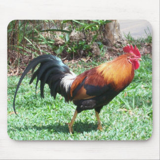 Rooster Mousepad