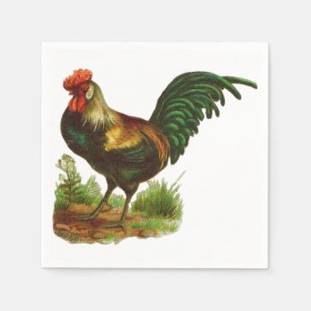 Rooster Paper Napkins by BlackBrookDining at Zazzle