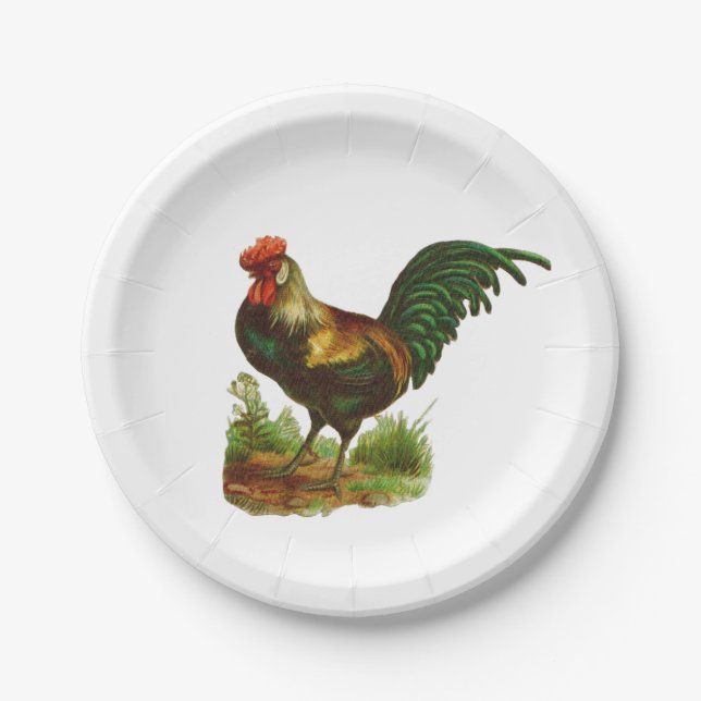 Rooster Paper Plates (Front)