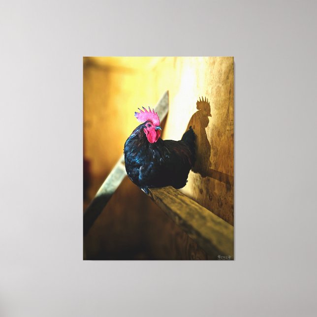 Rooster Perched in Barn Canvas Print (Front)