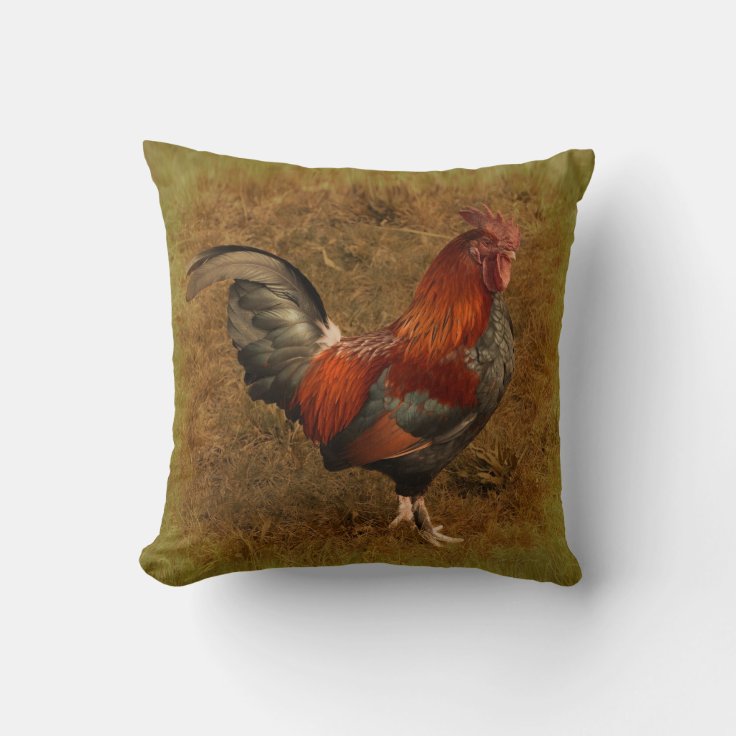 Rooster Pillow Zazzle