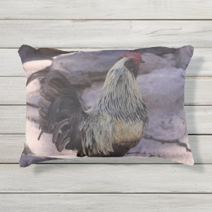 Rooster Pillow