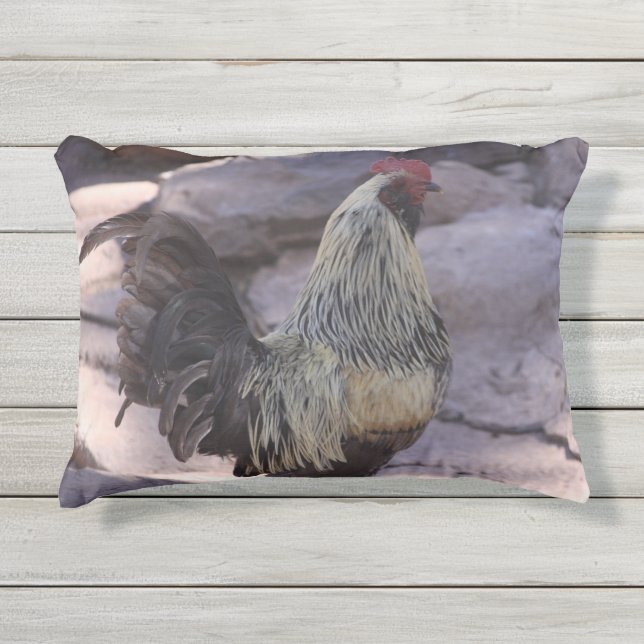 Rooster Pillow (Front)