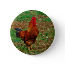 Rooster Pinback Button