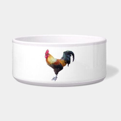 Rooster Plain Pet Bowl 2 sizes