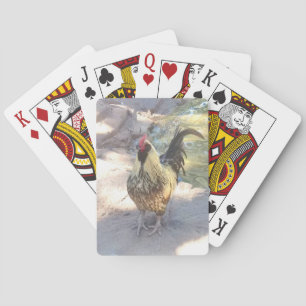 Rooster Playing Cards